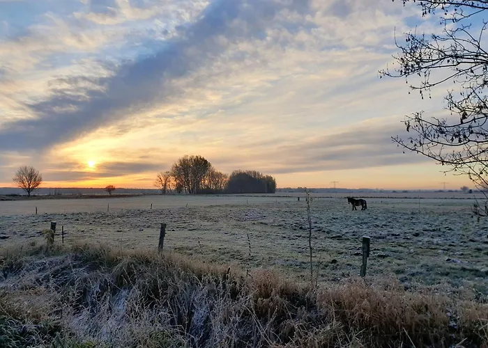 Schloss Diedersdorf Großbeeren